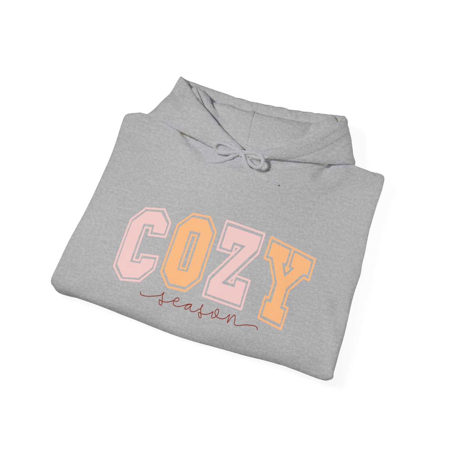 Cozy Hoodie Sweatshirt