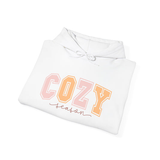 Cozy Hoodie Sweatshirt